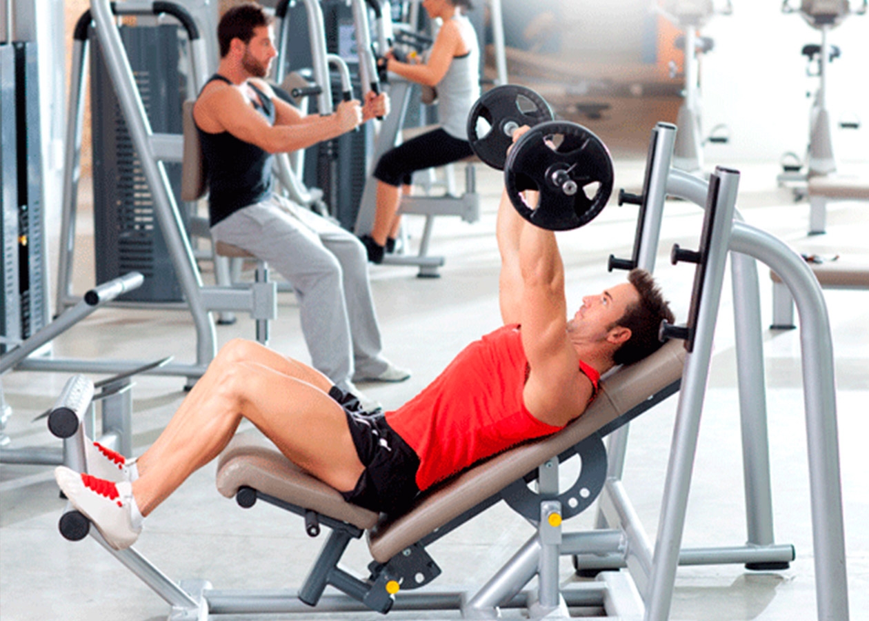 Musculación Musculación