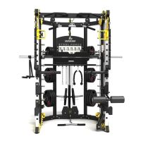 Multigimnasio Binom Steel Force B10