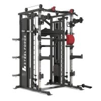 Binom Steel Force B20 Multigimnasio Carga de disco, Doble Polea, Multipower, Prensa y accesorios