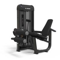 Binom Powerful P10 Selectorizada Dual 123 Kg Extensión / Curl de Pierna